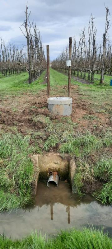 Omvorming van klassieke drainage naar peilgestuurd systeem bij zwaardere bodems in Haspengouw.